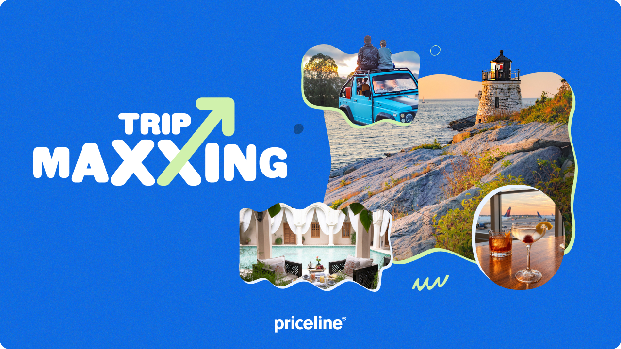 TripMaxxing banner