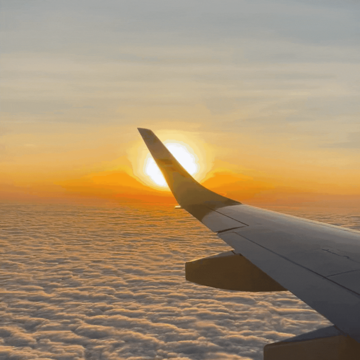 Travel Trend Vertical Assets- WIP (LinkedIn Post) (9)